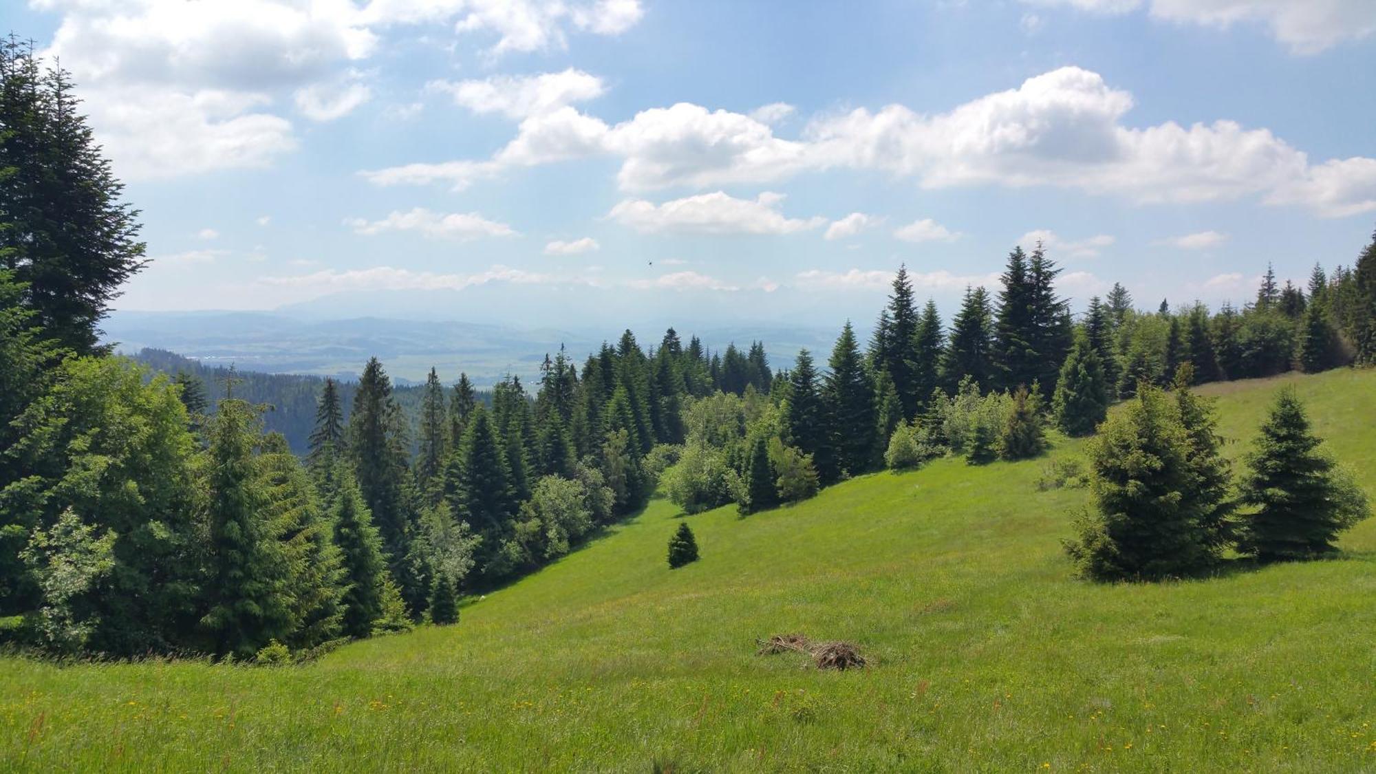 Apartamenty Zielona Owieczka Niedzica Zamek Exterior foto